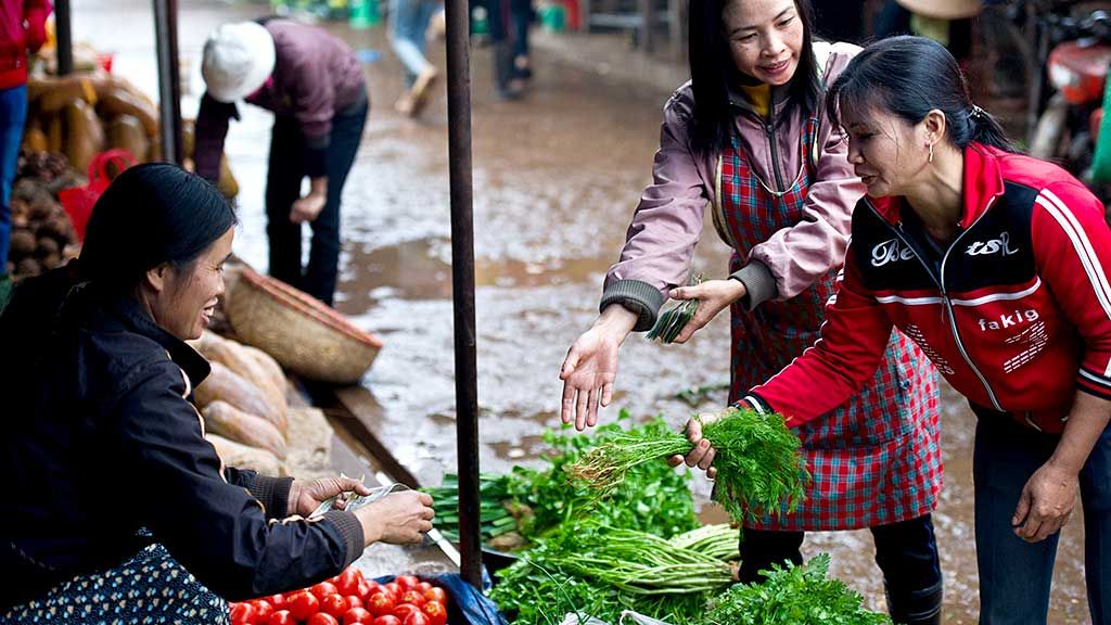 Viet Nam is helping farmers respond to climate change to protect their harvests and their livelihoods. Photo: ADB.